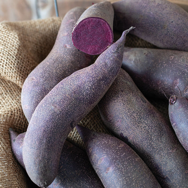 Potatoes (Sweet; Purple Majesty)