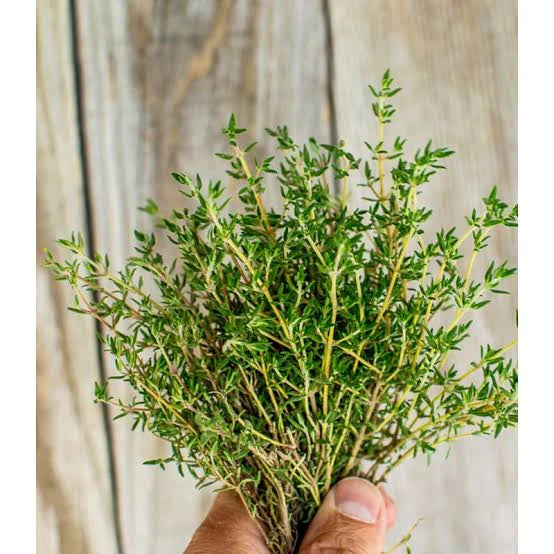 Fresh Herbs (Thyme)