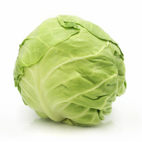 Cabbage (Green Kraut)