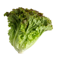 Head Lettuce (Green Leaf)