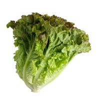 Head Lettuce (Red Leaf)