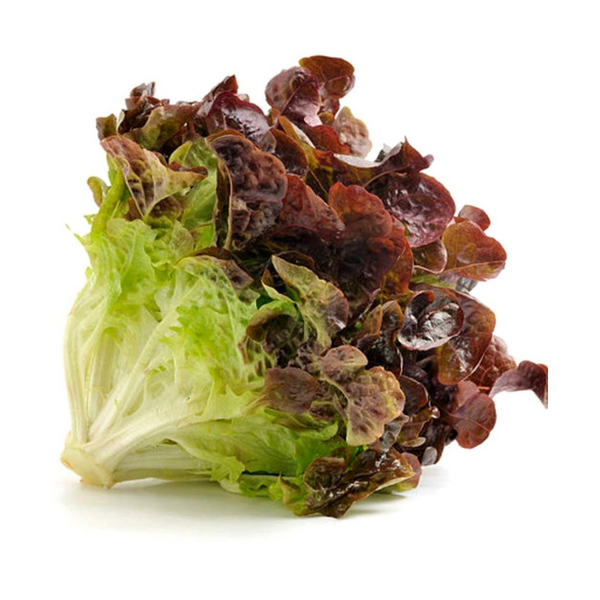 Head Lettuce (Red Leaf)