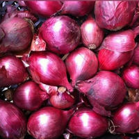 Onions (Red)