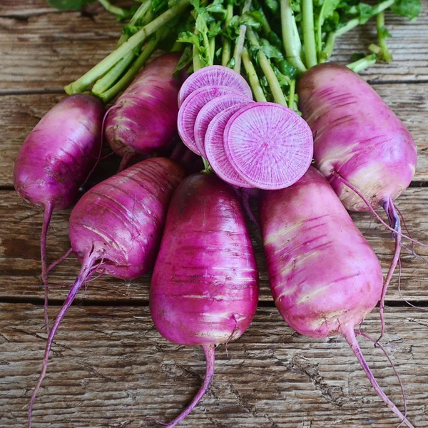 Radishes (Purple Daikon)