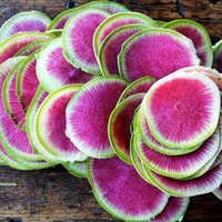 Radishes (Watermelon)