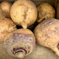 Rutabaga