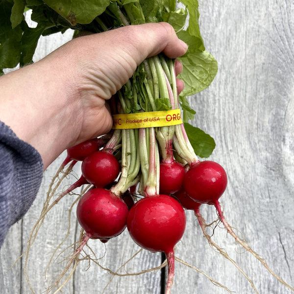 Radishes (Red)