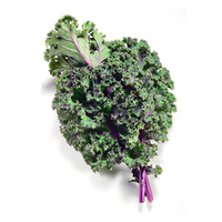 Bunched Kale (Red Russian)