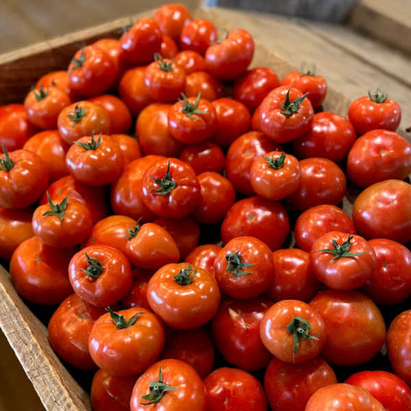 Tomatoes (Red Slicing)