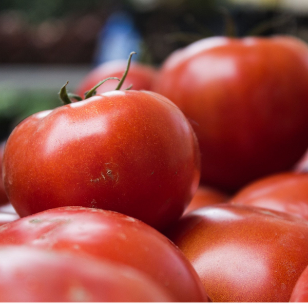 Tomatoes (Seconds Red Mix)