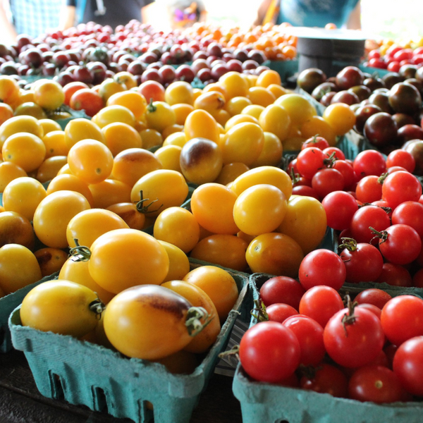 Tomatoes (Rainbow Cherry)