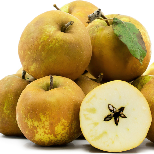 Apples (Hudson Golden Gem)