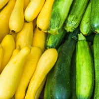 Summer Squash (Yellow & Zucchini Mix)