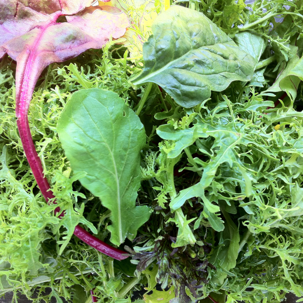 Bagged Greens (Braising Mix)