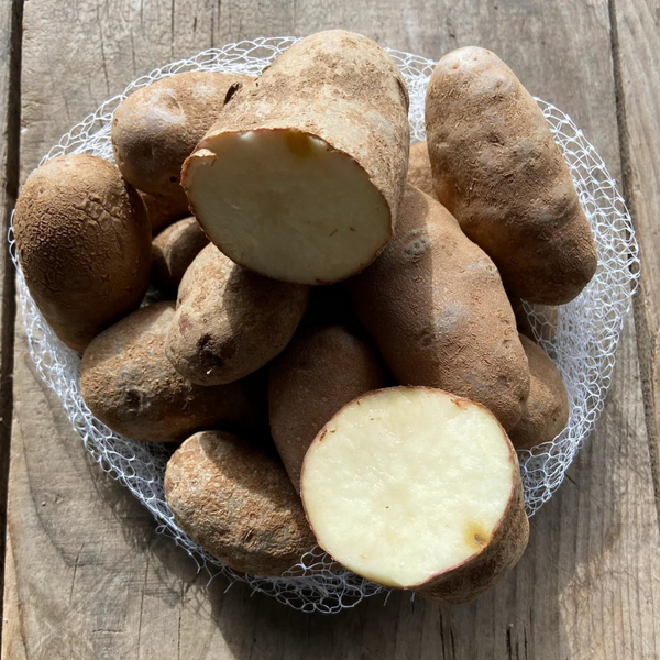 Potatoes (Russet)