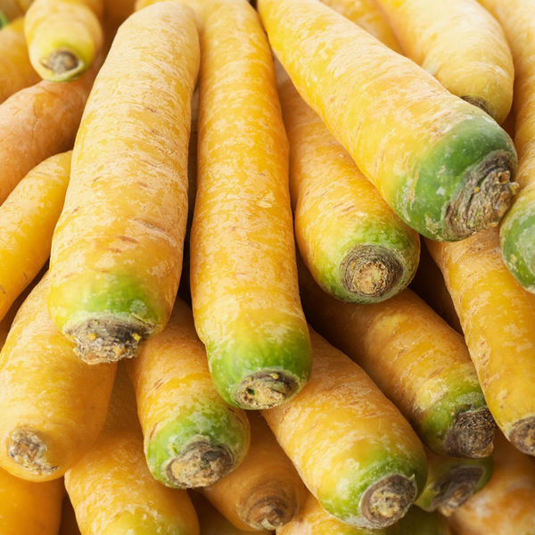 Carrots (Yellow)