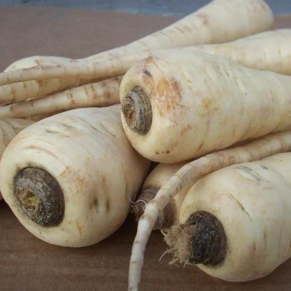 Parsnips