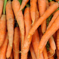 Carrots (Orange Juicing)