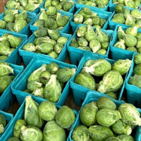 Brussels Sprouts (In A Bag)