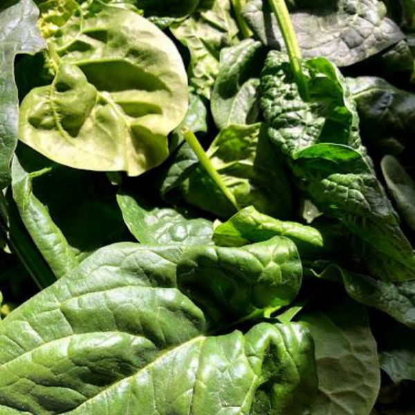 Bagged Greens (Baby Spinach)