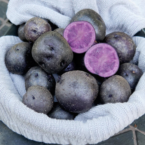 Potatoes (Blackberry Blue)