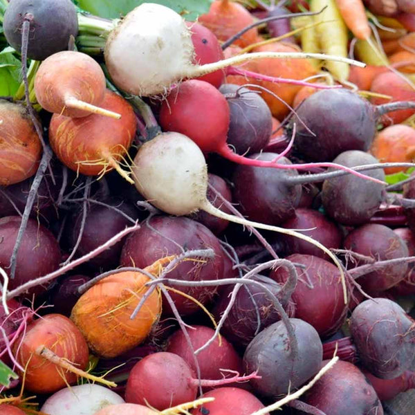 Beets (Rainbow Mix)