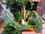 Seasonal Organic Veggie Box (Large)