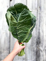 Collards